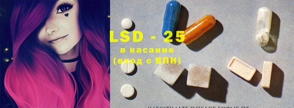гашик Зерноград
